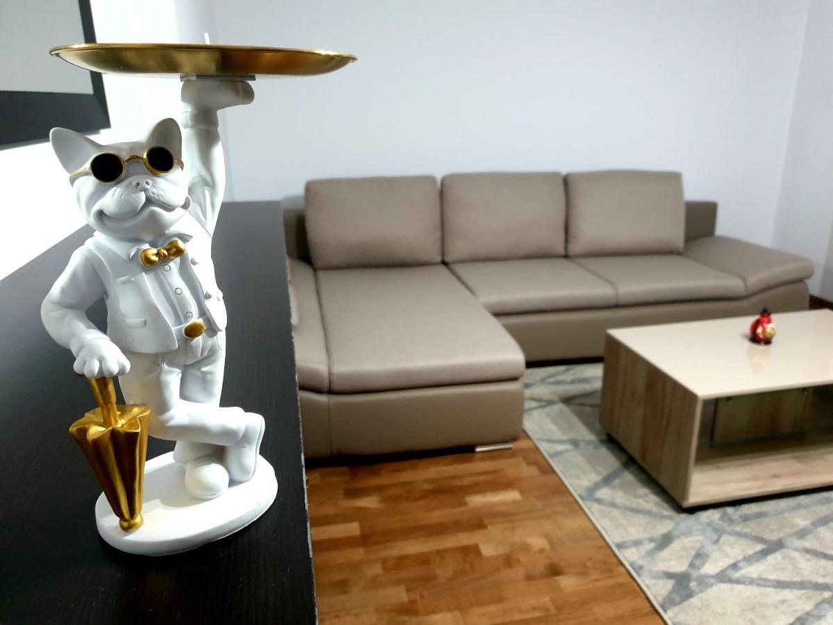 Moonrise Apartment براشوف المظهر الخارجي الصورة